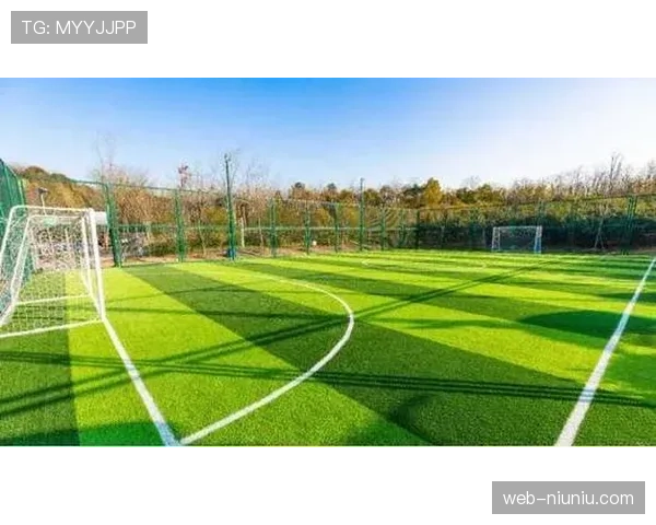 体育公园功能复合化 成为家庭休闲运动首选地 体育公园功能复合化 成为家庭休闲运动首选地